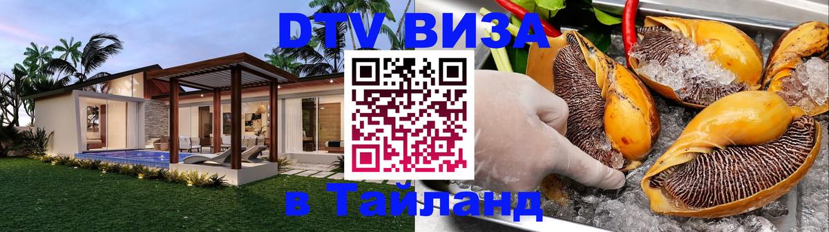 Оформление DTV визы под ключ: стоимость и тарифы, только загранпаспорт - 19.11.2025 